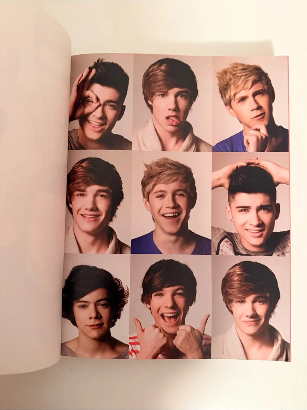 100% Official One Direction “Dare to Dream Life As One Direction